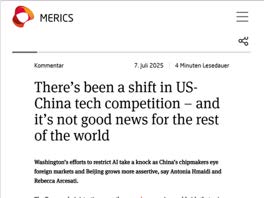 MERICS report screenshot
