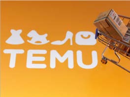 Temu package with cart