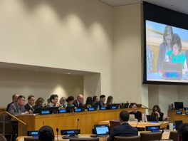 UN meeting room