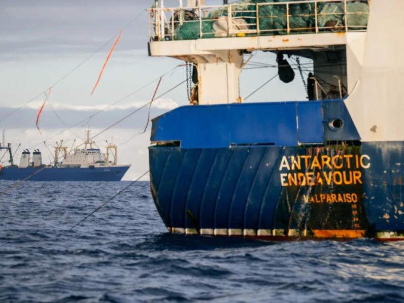 Krill fishing vessel